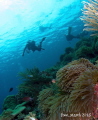   Bunaken  